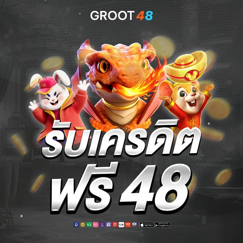 Groot48 โปรโมชั่น 2